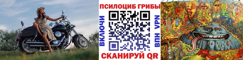Псилоцибиновые грибы Psilocybine cubensis  Купить  Березники 